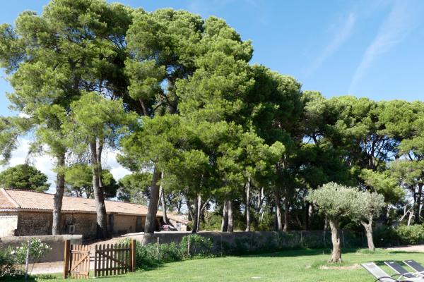 Domaine de la Grangette